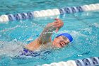 Swimming & Diving vs Babson  Swimming & Diving vs Babson College. - Photo by Keith Nordstrom : Wheaton, Swimming